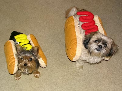 dog_hotdogs.jpg