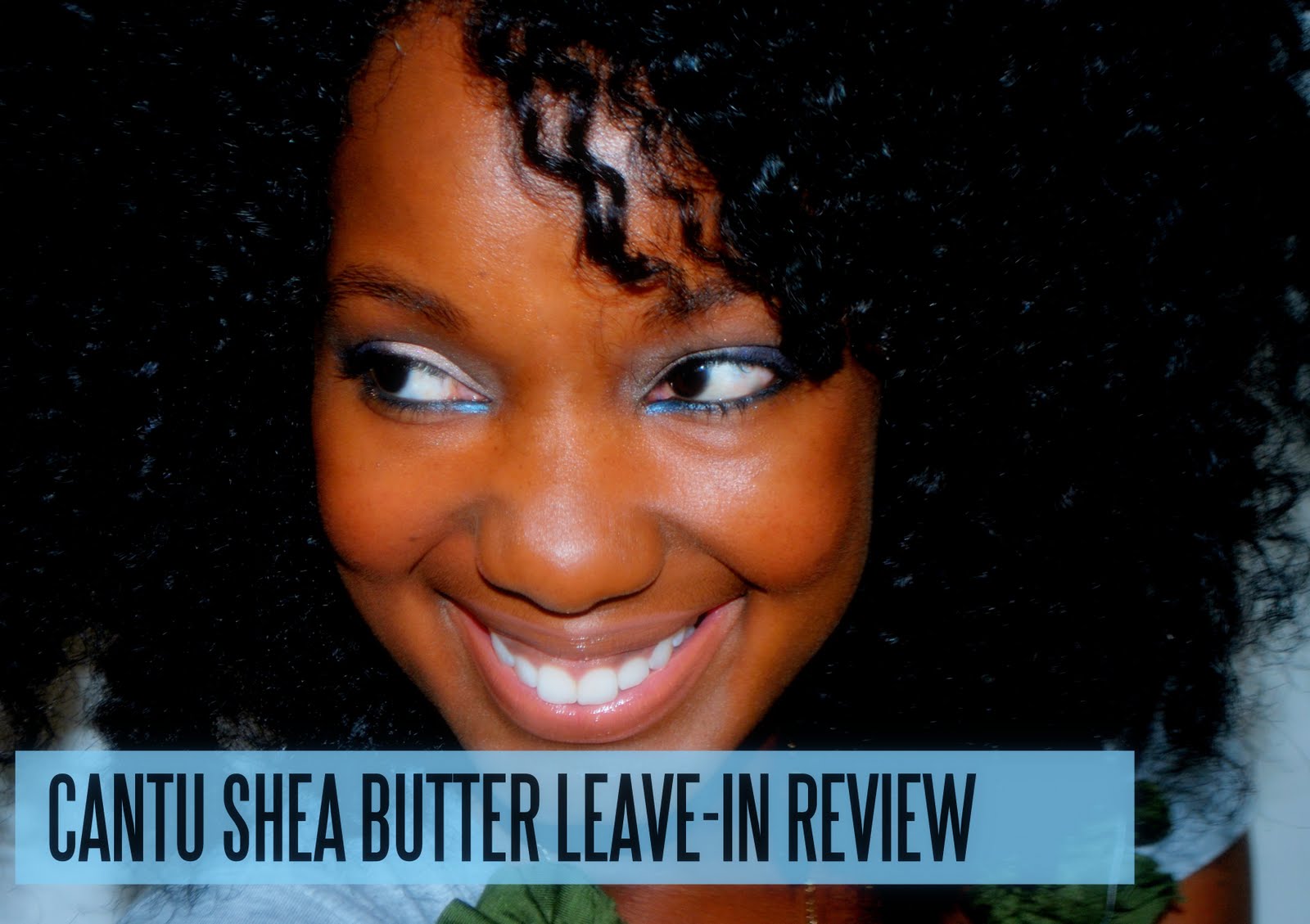 The Moptop The Premier Source For All Things Creative, Fly