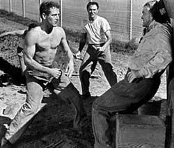 [somebodyuptherelikesme.jpg]