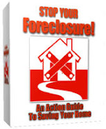 Stop Your Foreclosure! An Action Guide To Saving Your Home