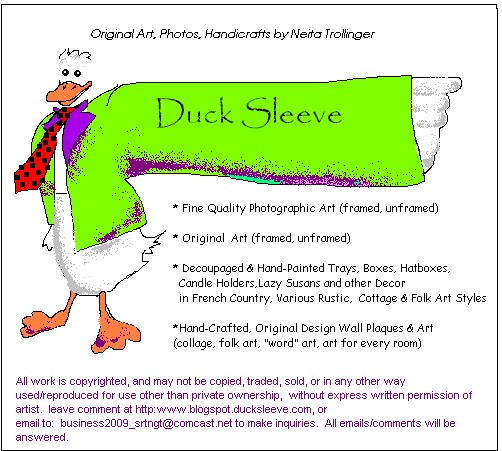 Duck Sleeve Fine Photographic Prints For Sale