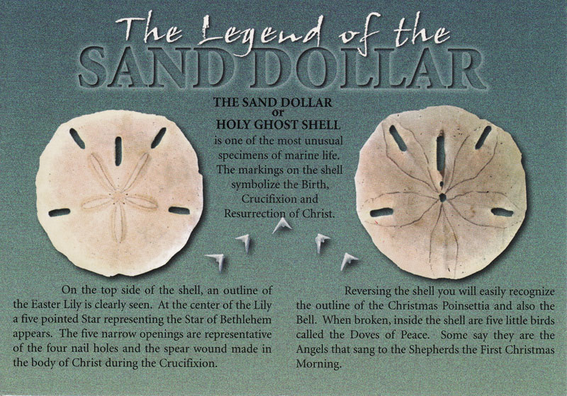 My World in Postcards: The Legend of the Sand Dollar