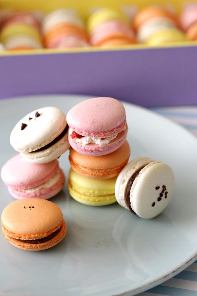 Gourmet Baking: Assorted and Colorful Macarons for Christmas