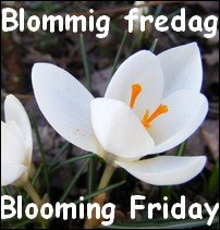 Blommig fredag