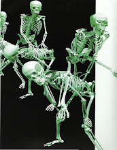 esqueletos