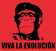 Mi foto