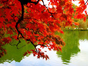 ΦΘΙΝΟΠΩΡΟ / AUTUMN