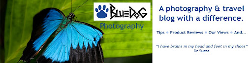 Bluedog Photography