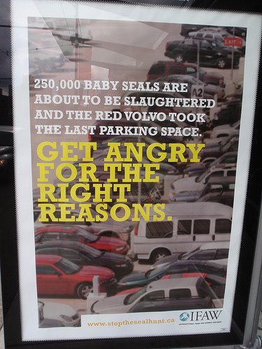 [IFAW+poster.jpg]