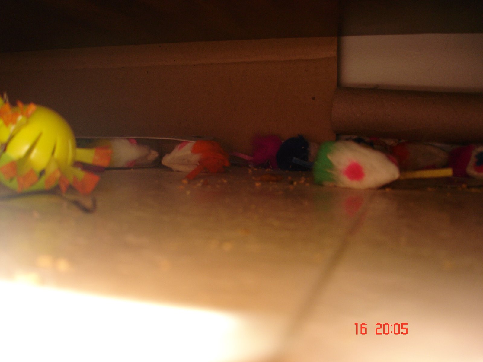 [DSC02054.JPG]