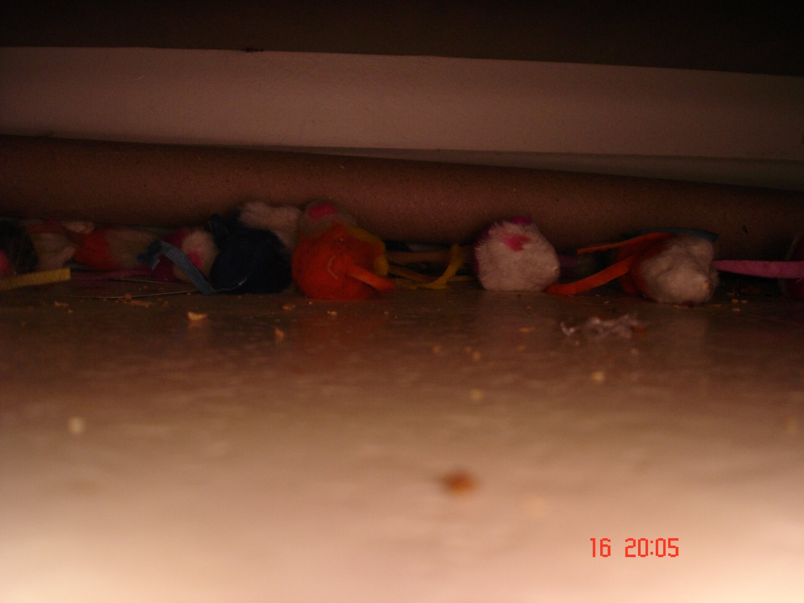 [DSC02052.JPG]