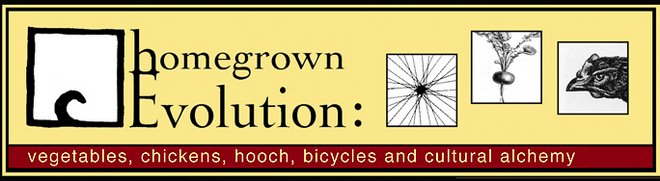 Reviews and Interviews