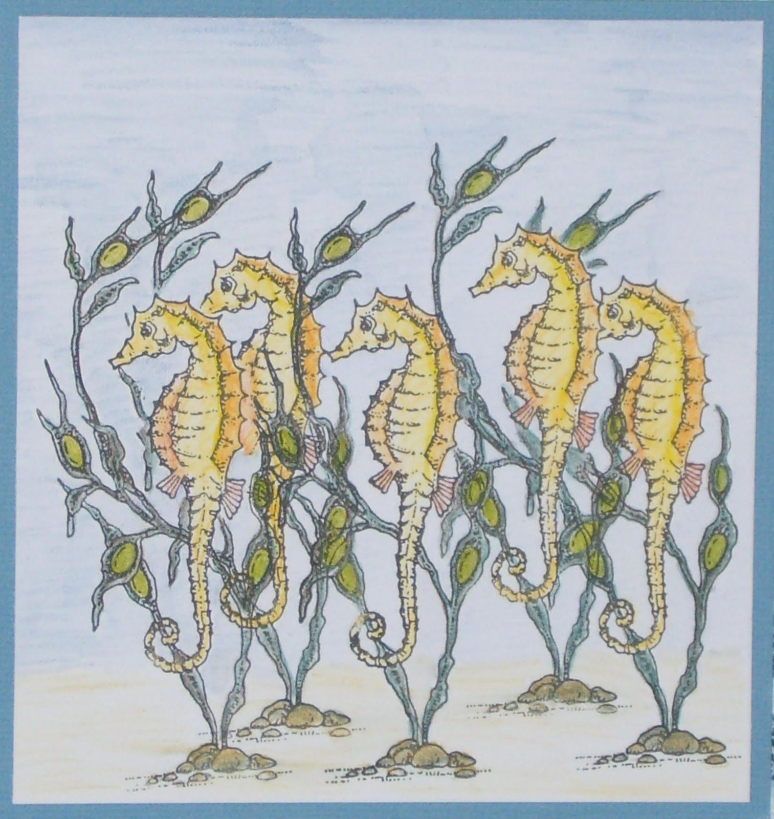 Baby seahorse picture