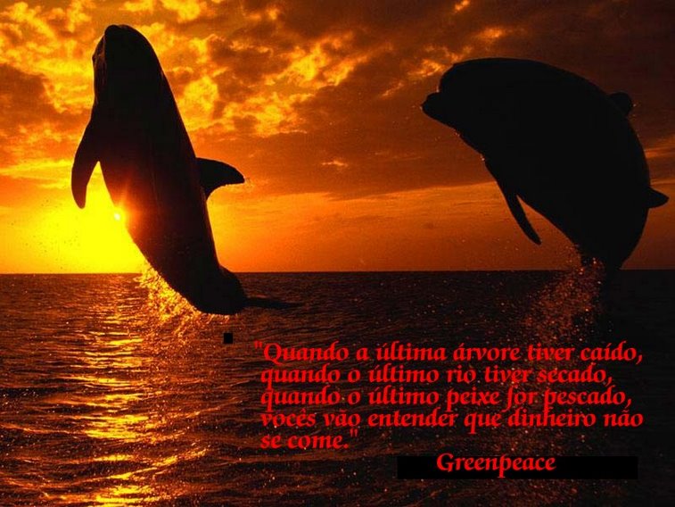 [gse_multipart44638.jpg]