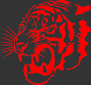 Red Tiger Martial Arts