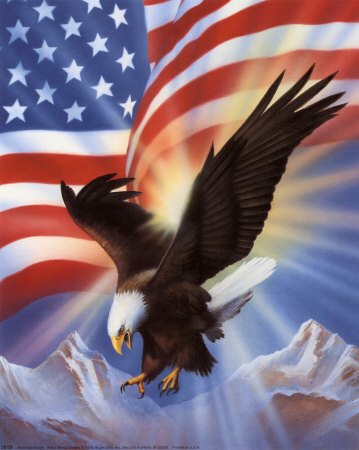 [american-eagle-and-flag-ii-print-c10055018.jpeg]