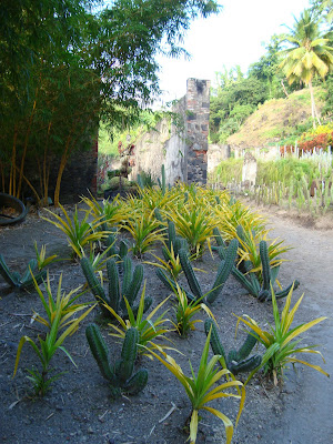Guedou à la découverte du monde: Le jardin de saint pierre