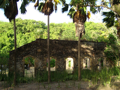 Guedou à la découverte du monde: Le jardin de saint pierre