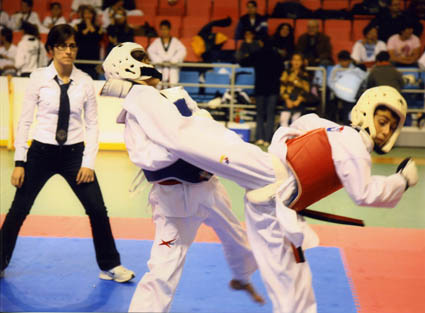 [img167.jpg]