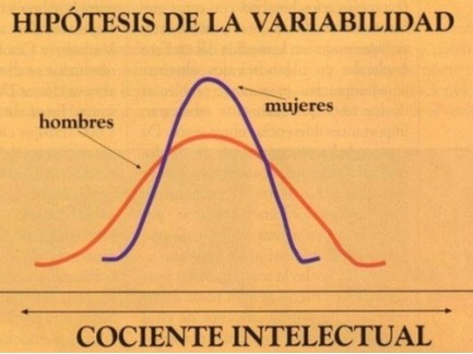 Porcentaje mujeres LISTAS  mujeres TONTAS y hombres litos/ tontos