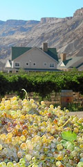 Wine Country Inn Grape Harvest