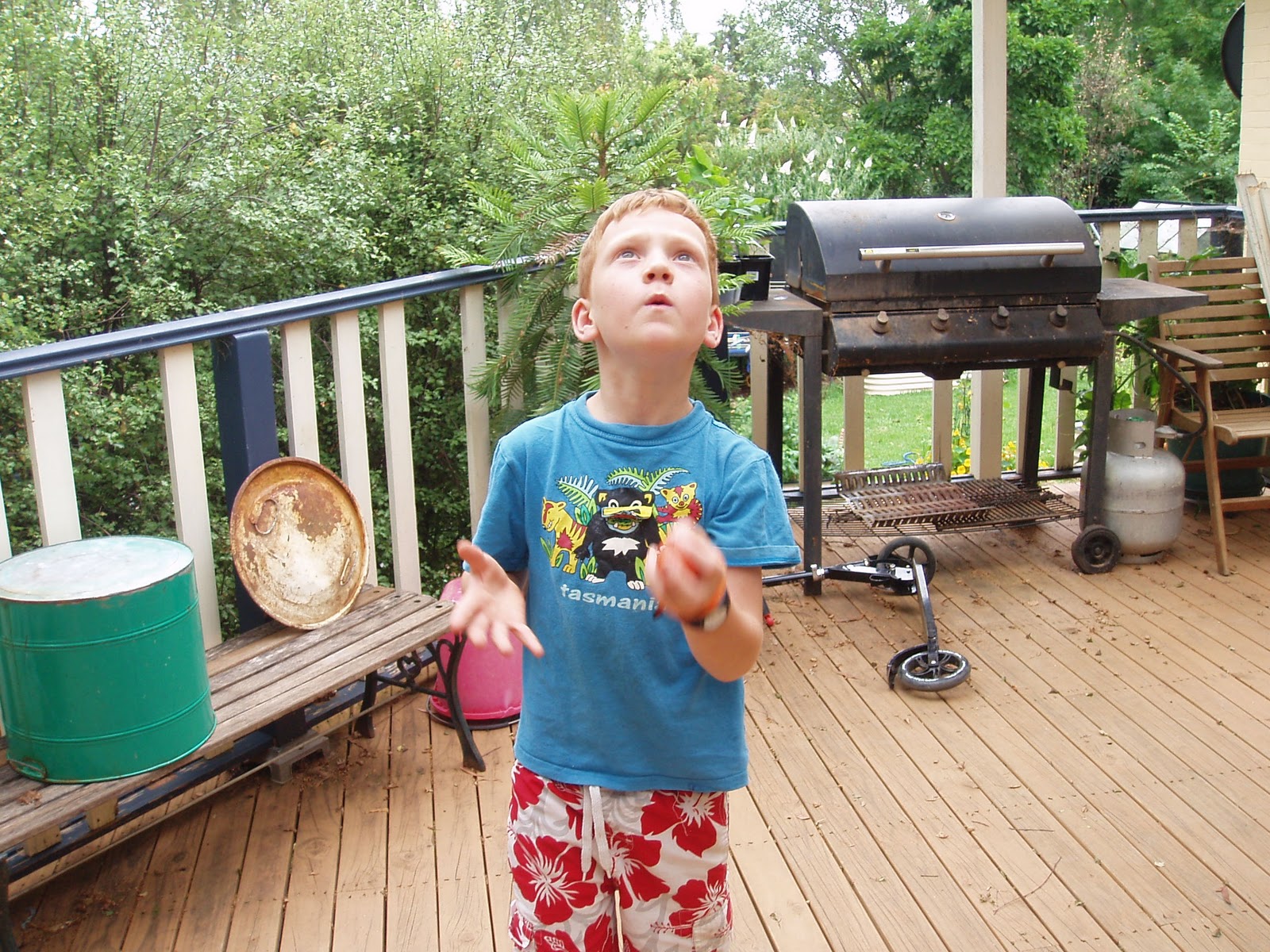 toward sustainability with three kids...... Holiday juggling fun