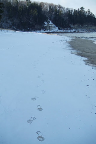 Lake Superior Shoreline
