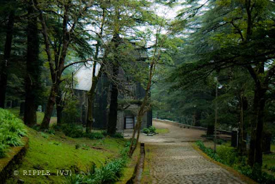 Posted by Ripple (VJ) : The Gothic stone building of the Church was constructed in 1852. The site also has a memorial of the British Viceroy Lord Elgin, and an old graveyard. The church building is also noted for its Belgian stained-glass windows donated by Lady Elgin.: Mcleoganj, Mcloedgaj, Dharmshala, Himachal Pradesh, Saint John Chruch, India, British times, ripple, Vijay Kumar Sharma, ripple4photography, Frozen Moments, photographs, Photography, ripple (VJ), VJ, Ripple (VJ) Photography, Capture Present for Future, Freeze Present for Future, ripple (VJ) Photographs , VJ Photographs, Ripple (VJ) Photography : The beautiful stained glass windows and the aesthetic proportions of the building sand its location in the middle of nowhere add to the charm of this monumental Anglican Church: St. John's Church @ Mcleodganj, Himachal Pradesh.