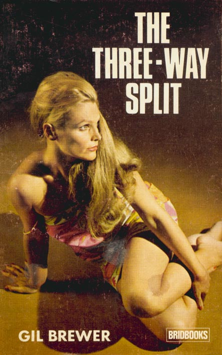 [Brewer-Three+Way+Split.jpg]