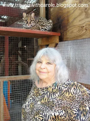 Loreon Vigné, owner of Isis Oasis Sanctuary in Geyserville, California