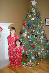 2009 Christmas Tree decoration picture