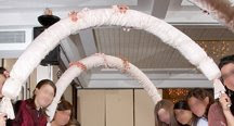 The Arches
