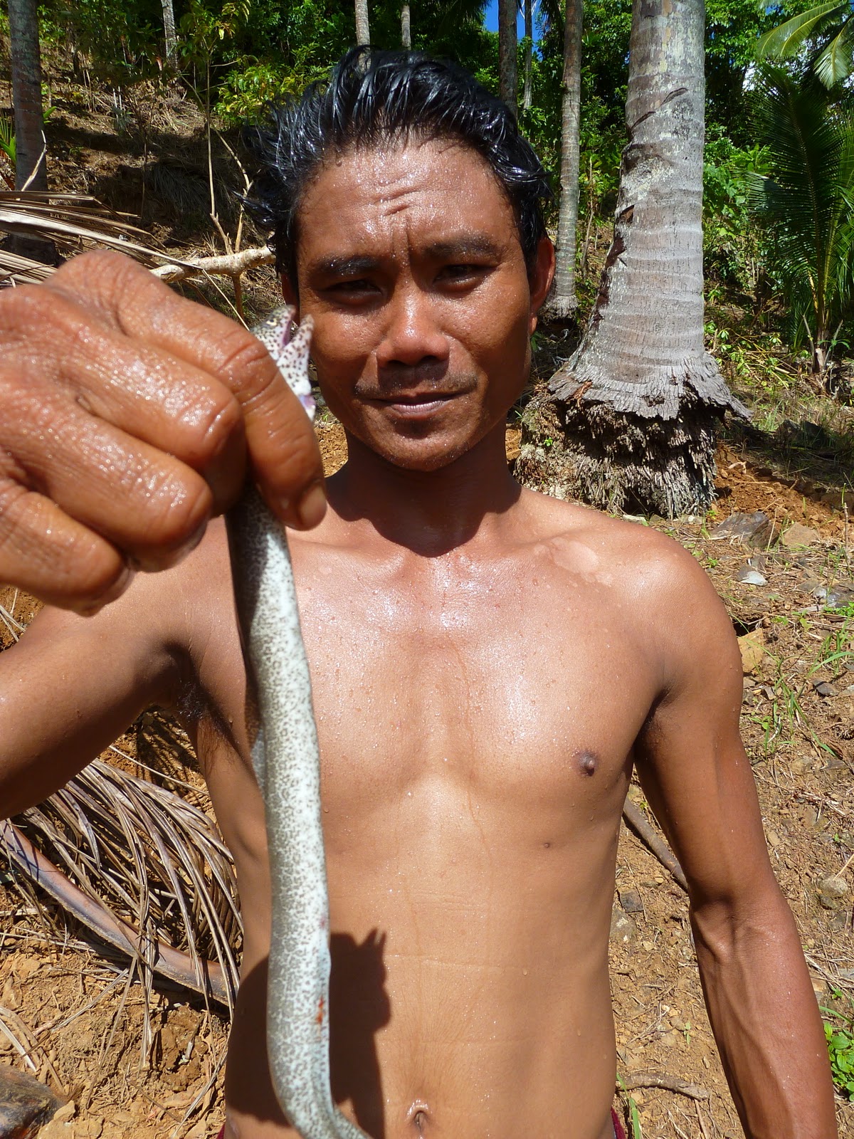Destination 8º N: Ayoke Island [click to open]