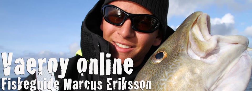 Vaeröy Online Fiskeguide Marcus