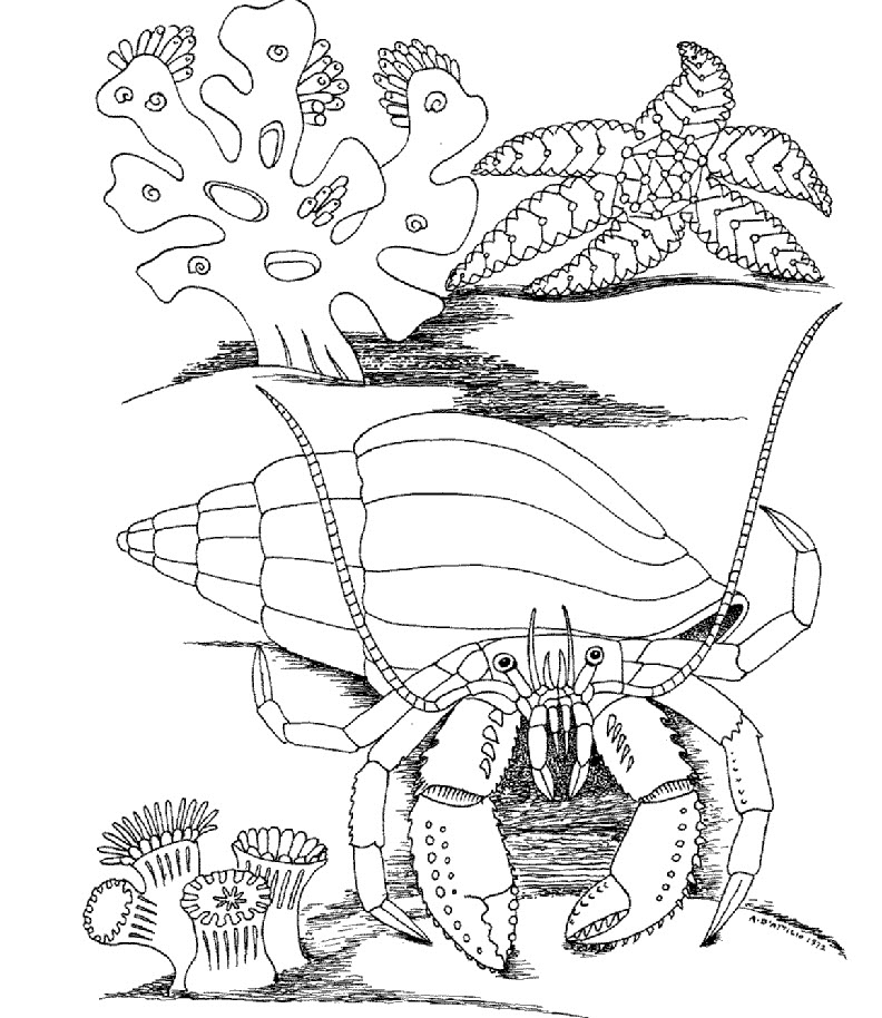 underwater scene coloring pages - photo #30