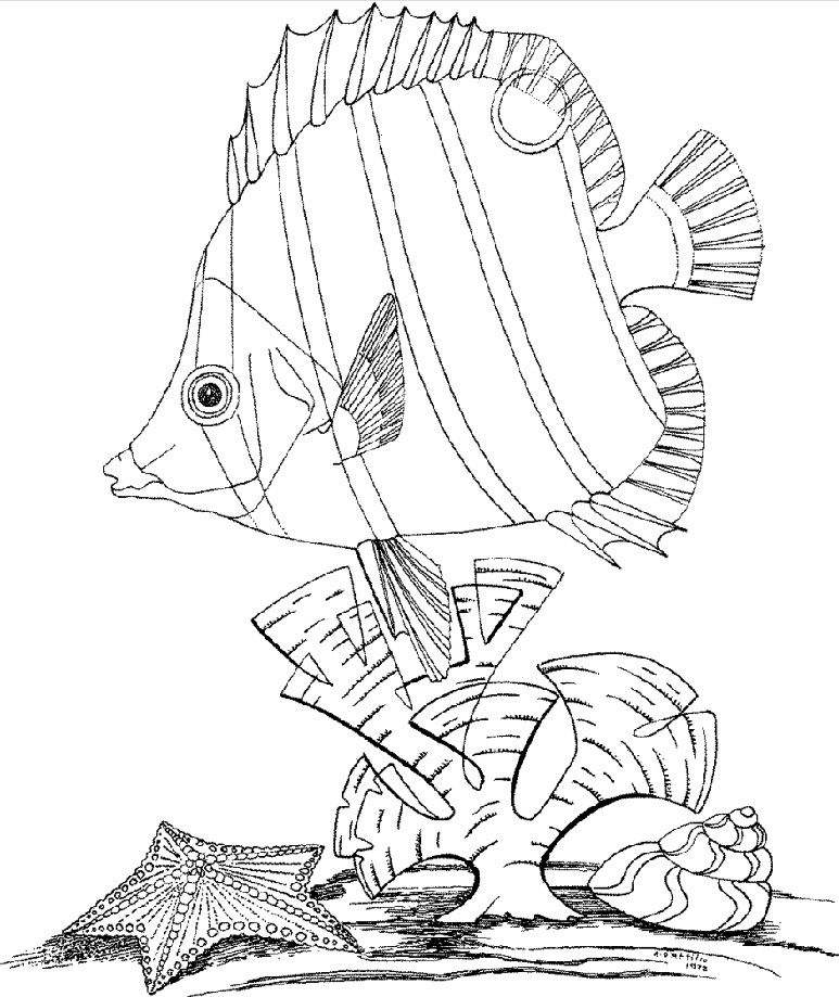 underwater scene coloring pages - photo #47