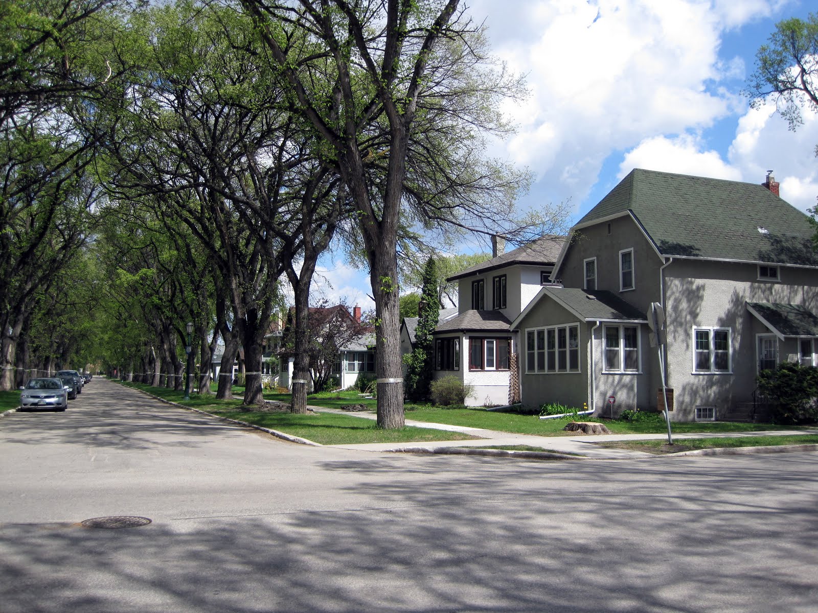 Sense and Simplicity Houses in Winnipeg Sense and Simplicity Houses in Winnipeg