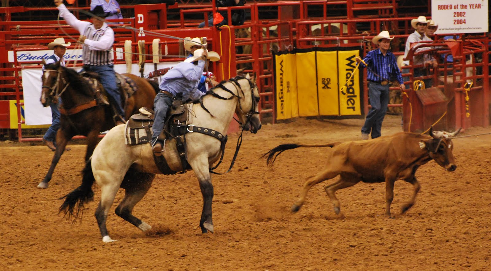 Davie Pro Rodeo Schedule | Orange Blossom Festival, Parade & Rodeo – AZZU