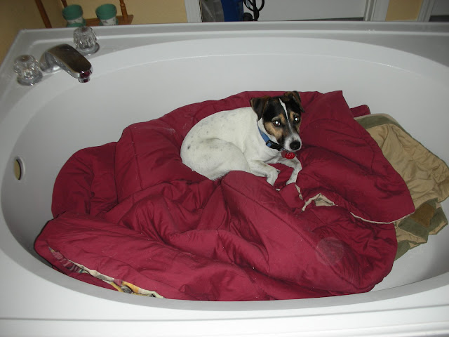 JRT in bathtub