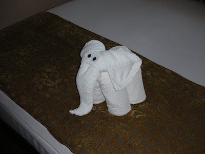 towel animal elephant