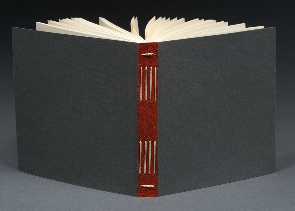 Chattanooga Book Arts Collaborative January 16, 2011 LongStitch