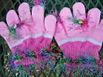 Fingers snoozles- Gloves