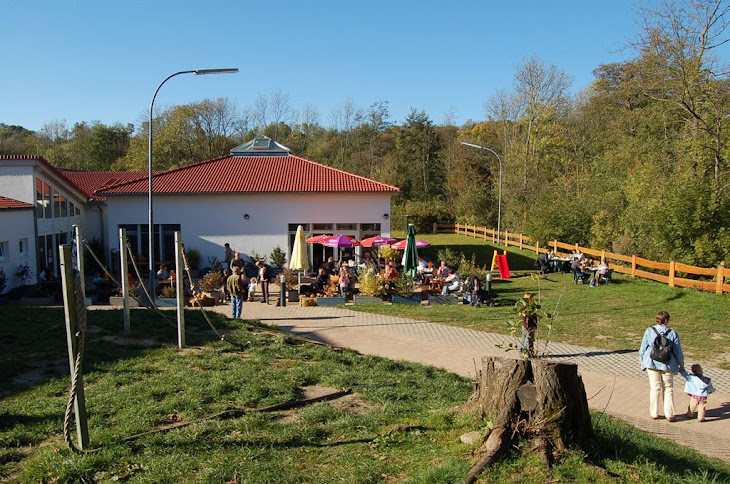 Das Café vom Vogelpark