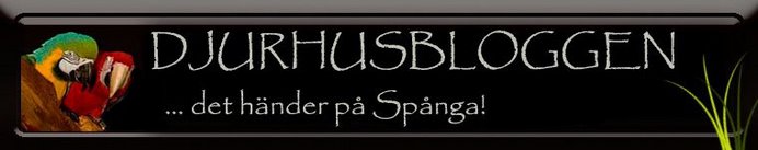 DJURHUSBLOGGEN