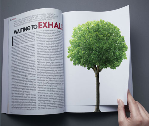 [greenpeacetree1.jpg]