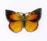 [Borboleta+(18)-727556.jpg]