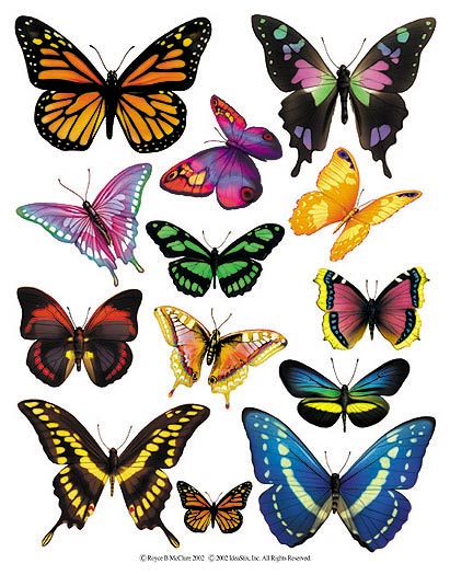 [Borboleta+(20)-730128.jpg]