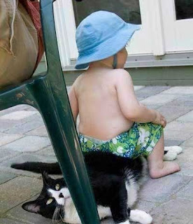 bebe-sentado-em-cima-gato-baby-cat