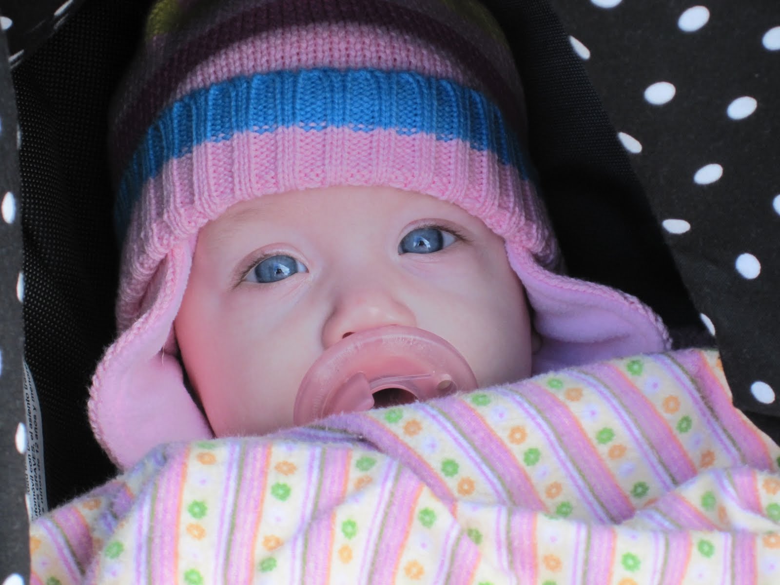 The Real Rachel Ray: The cutest babies in the world