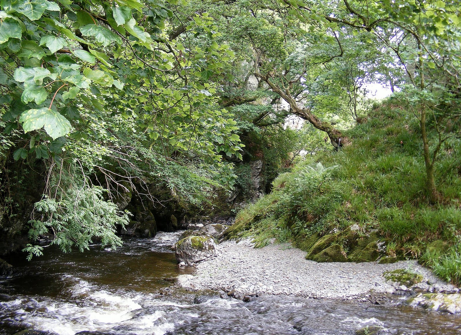 Footless Crow: July 2010